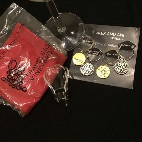 BARTENDER’S ACCESSORIES Bundle Cocktail Book Glass Charms Pourer Crystal Cleaner - Picture 7 of 10